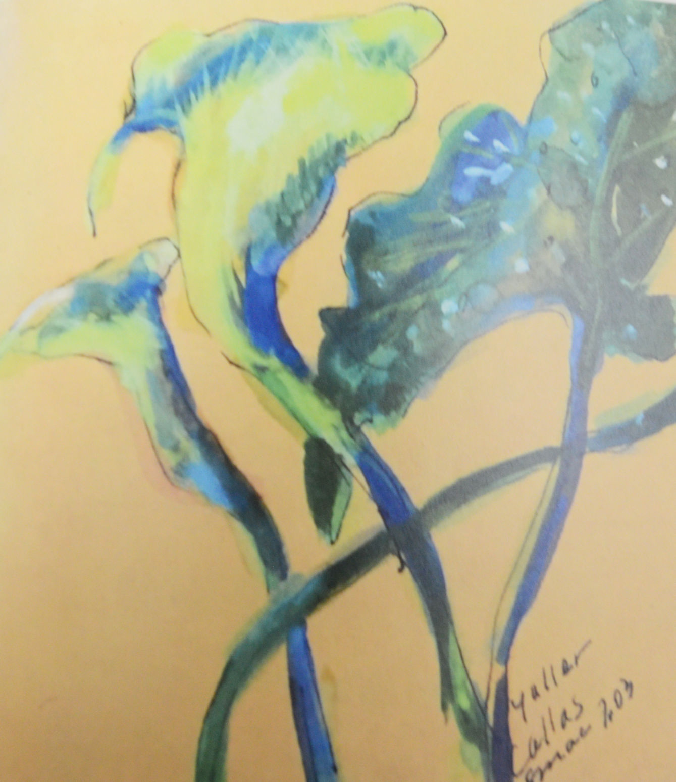 FOCUS: Plant